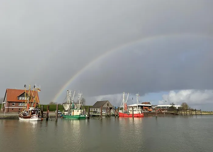 Σπίτι διακοπών Am Kutterhafen 20 - Ankerplatz *